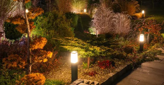 Outdoor lighting in Fall
